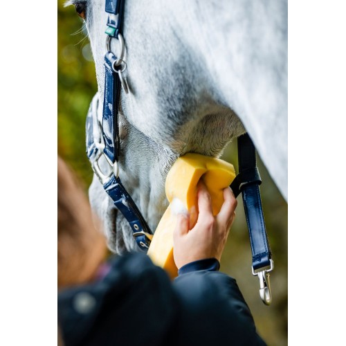 Horseware Grooming Headcollar