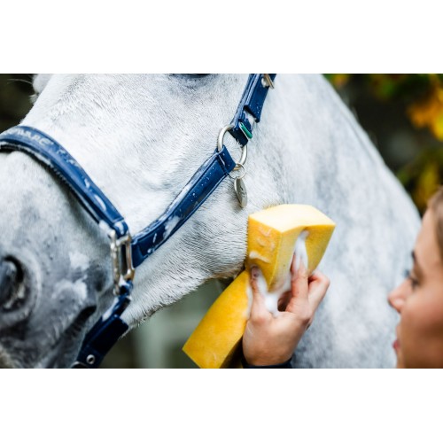 Horseware Grooming Headcollar