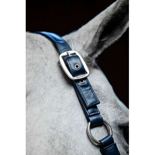 Horseware Grooming Headcollar