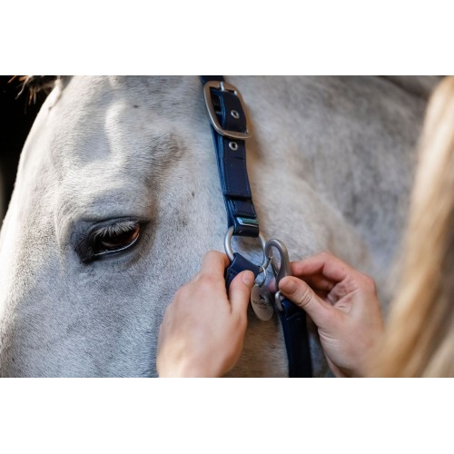 Horseware Grooming Headcollar