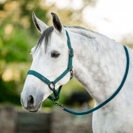 Horseware Headворотник & чомбур