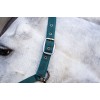 Horseware Headcollar & Lead Rope