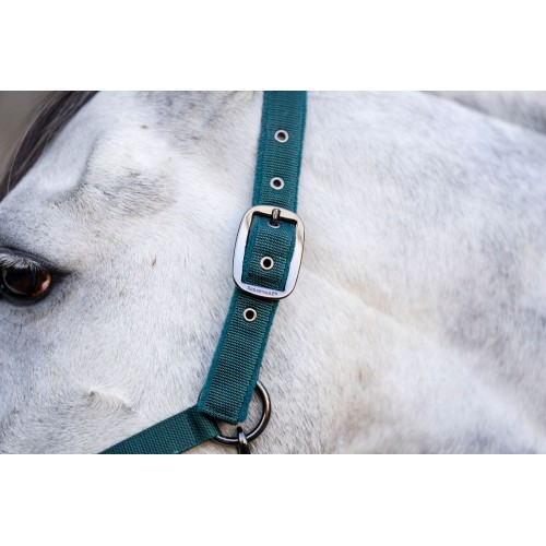 Horseware Headcollar & Lead Rope