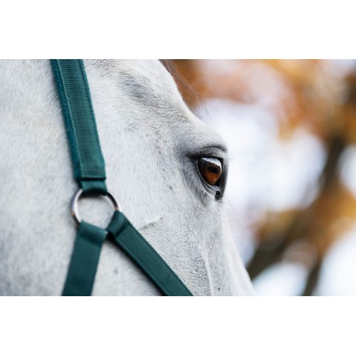Horseware Headcollar & Lead Rope