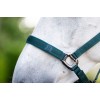 Horseware Headcollar & Lead Rope