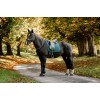 Horseware Dressage Saddle Pad