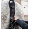 Horseware Tail Guard and Bag