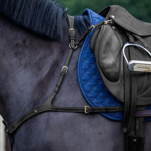 Dyon Anatomical Breastplate