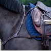 Dyon Anatomical Breastplate