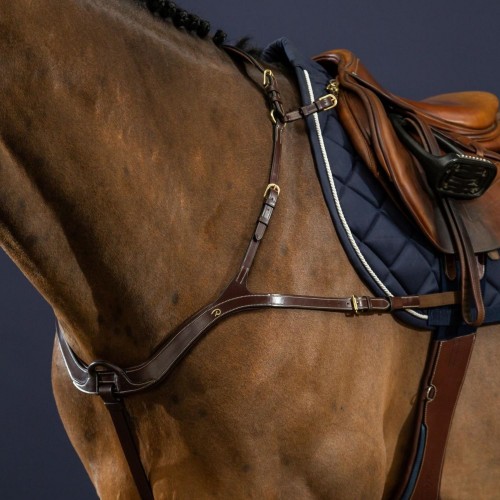 Dyon Anatomical Breastplate