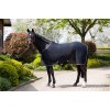Eskadron Fly Rug Fly Dura Contrast