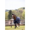 Eskadron Outdoor Rug Alpha