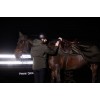 Eskadron FW25 Dynamic Cotton 50g Exercise Rug