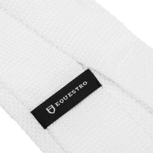 Equestro Men's Tie Logo