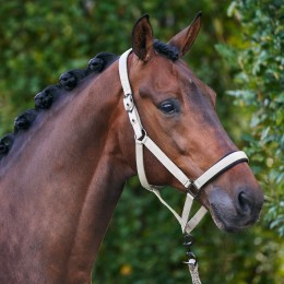 Imperial Riding SS26 недоуздок IRHClassic Sport