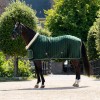 HB Showtime Show Rug Special
