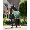 HB Showtime Show Rug Special