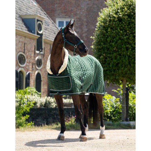 HB Showtime Show Rug Special