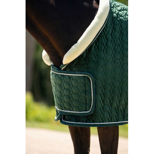 HB Showtime Show Rug Special