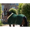 HB Showtime Show Rug Special
