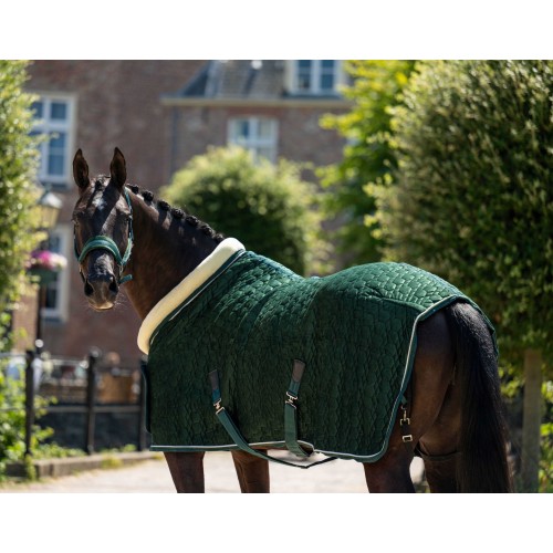 HB Showtime Show Rug Special