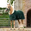 HB Showtime Show Rug Special