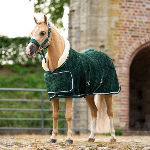 HB Showtime Show Rug Special