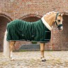 HB Showtime Show Rug Special