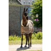 HB Showtime Show Rug Special