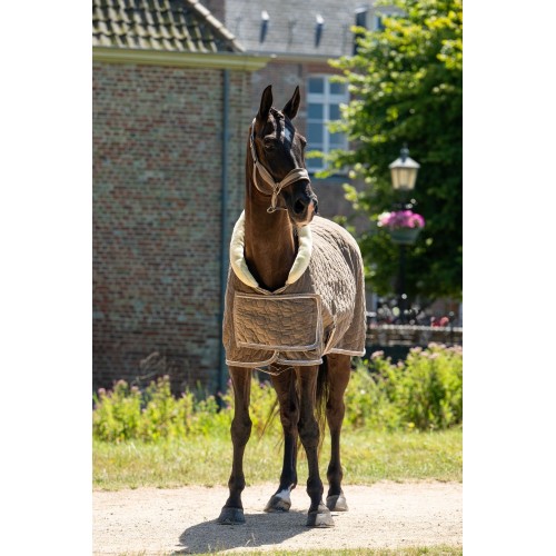 HB Showtime Show Rug Special