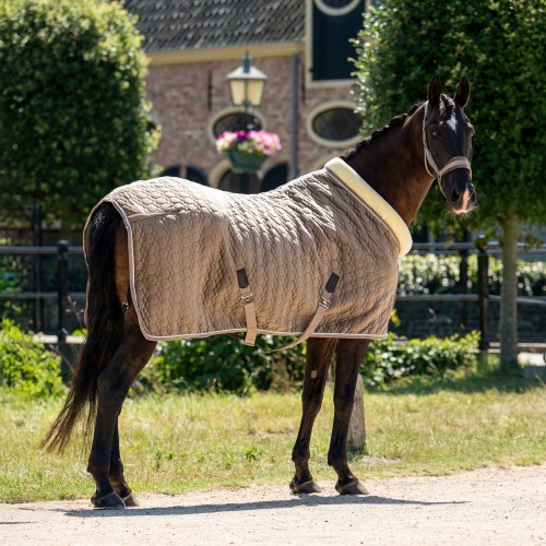 HB Showtime Show Rug Special