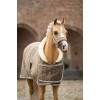 HB Showtime Show Rug Special
