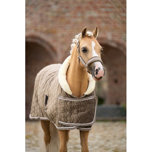 HB Showtime Show Rug Special