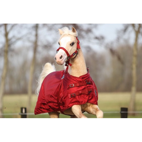 MASTER Halter Metallic Red