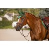 LeMieux CORE Loire Fly Hood
