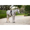 LeMieux CORE Hunter Merino+ Saddle Pad