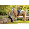 LeMieux SS25 Loire Aqua Dressage Saddle Pad