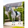 LeMieux SS25 Loire Aqua Dressage Saddle Pad