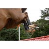 LeMieux MIMsafe XC Hind Boot