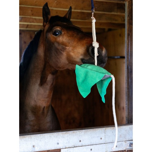 LeMieux SS25 Horse Toy Ray One Size