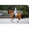 LeMieux CORE 3D Mesh Self-Cool Dressage Square