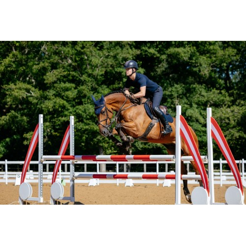 LeMieux CORE Suede Close Contact Square Navy