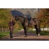 LeMieux AW25 Essence Dressage Saddle Pad Damson