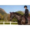 LeMieux AW25 Essence Fly Hood Damson