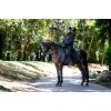 LeMieux CORE Men's Softshell Jacket Black
