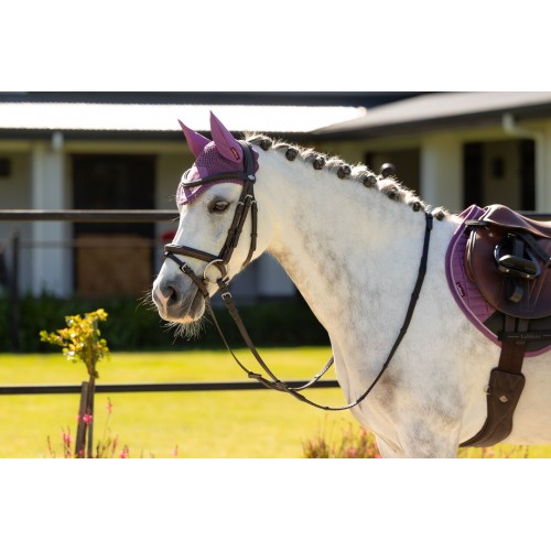 LeMieux SS26 Mini Classic Fly Hood
