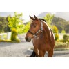 LeMieux SS26 Capella Headcollar