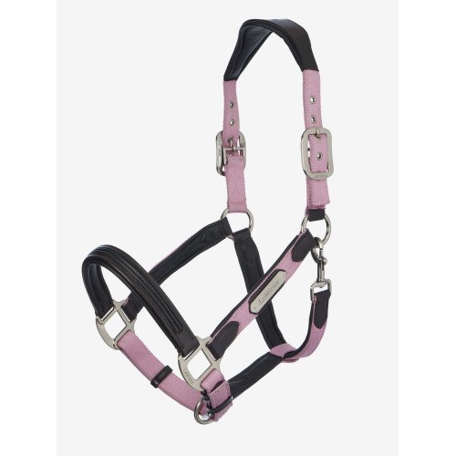 LeMieux SS26 Capella Headcollar