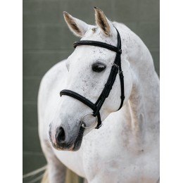 LeMieux SS26 Arika Classique капцунг уздечка