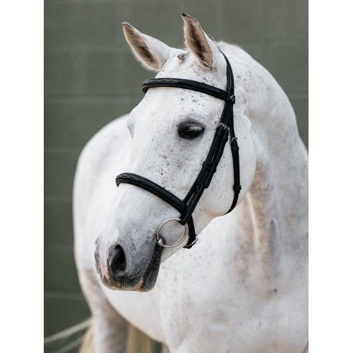 LeMieux SS26 Arika Classique Cavesson Bridle